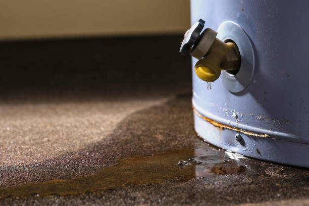 Best Flood restoration services  in Greenport West, NY