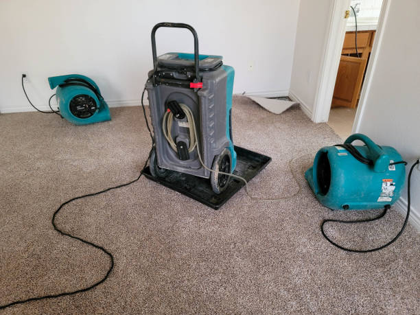 Best Professional water damage repair  in Greenport West, NY