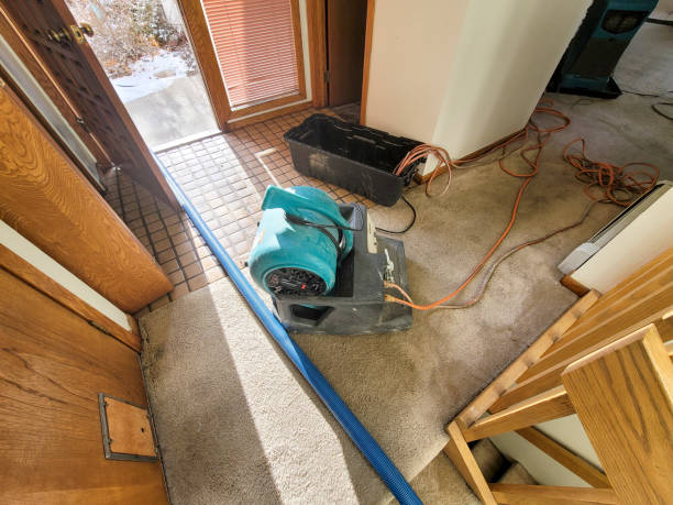 Best Mold removal after water damage  in Greenport West, NY
