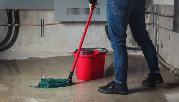 Best Ceiling water damage repair  in Greenport West, NY