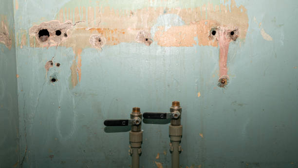 Best Water damage mitigation services  in Greenport West, NY
