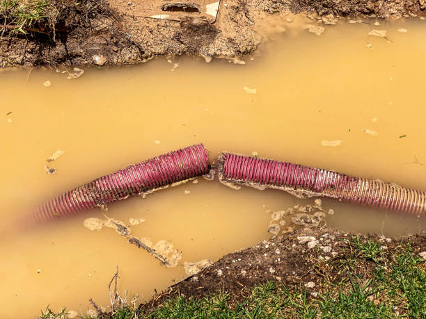 Best Emergency water damage restoration  in Greenport West, NY
