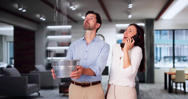 Best Water damage contractors near me  in Greenport West, NY