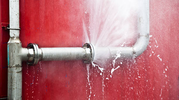 Best Water damage cleanup near me  in Greenport West, NY