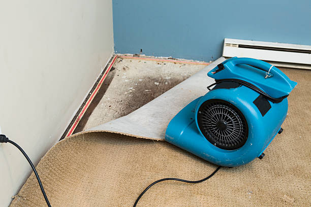 Best Carpet water damage restoration  in Greenport West, NY